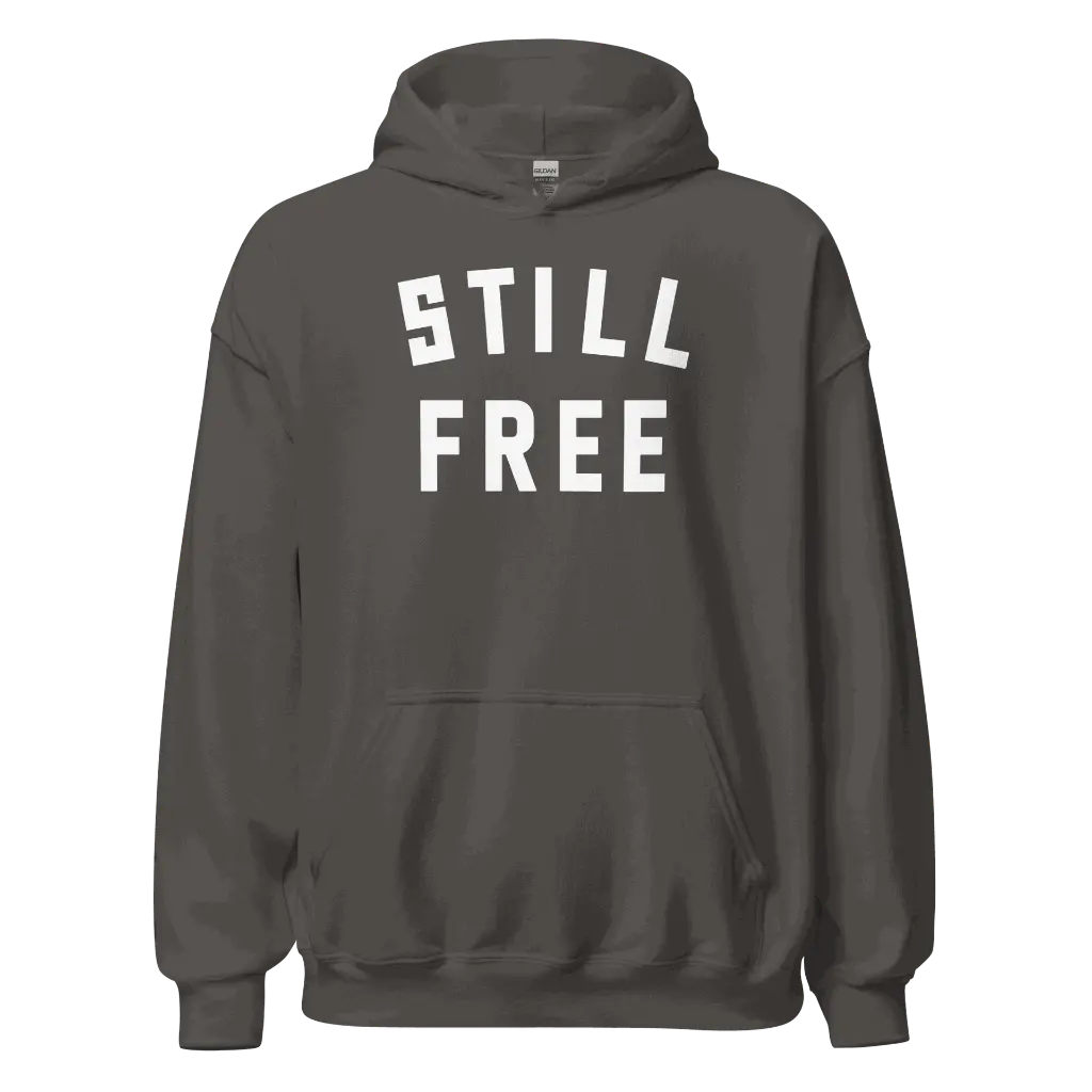 unisex-heavy-blend-hoodie-charcoal-front-679d315e7c92f.webp